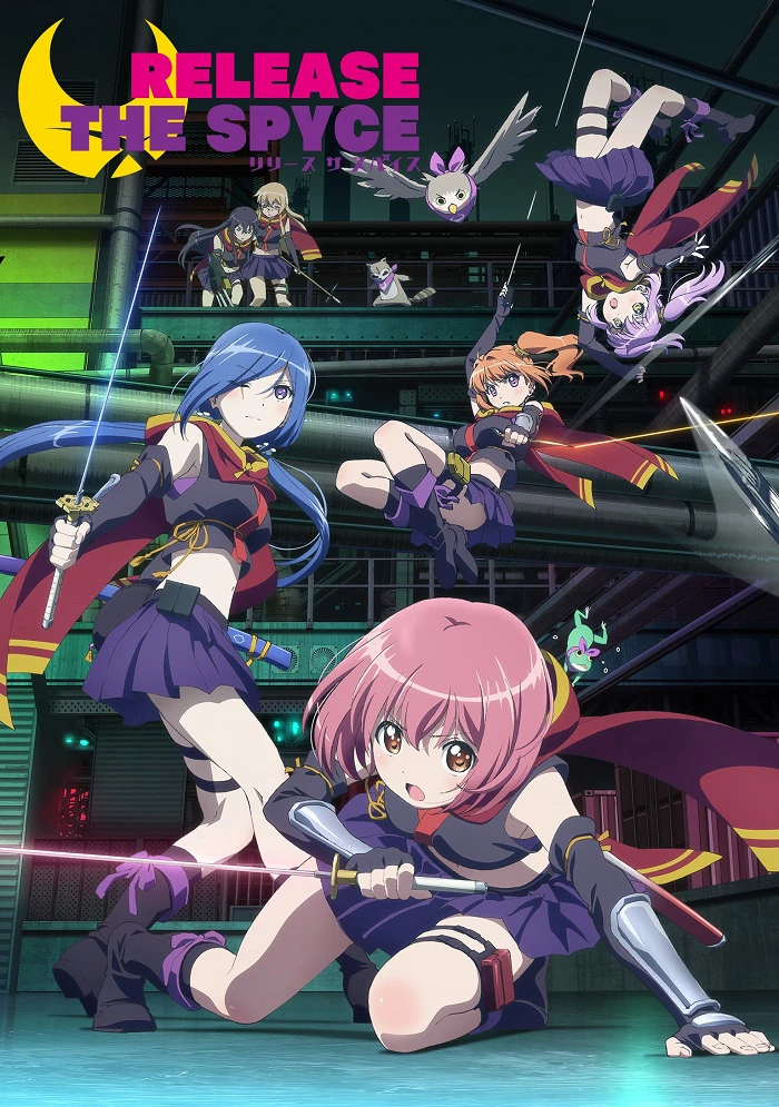 Освобождение шпионов постер