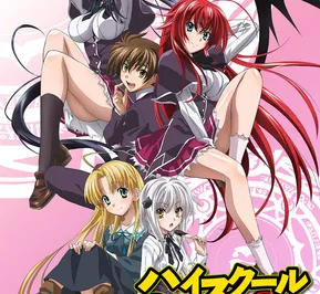 Постер Старшая школа DxD