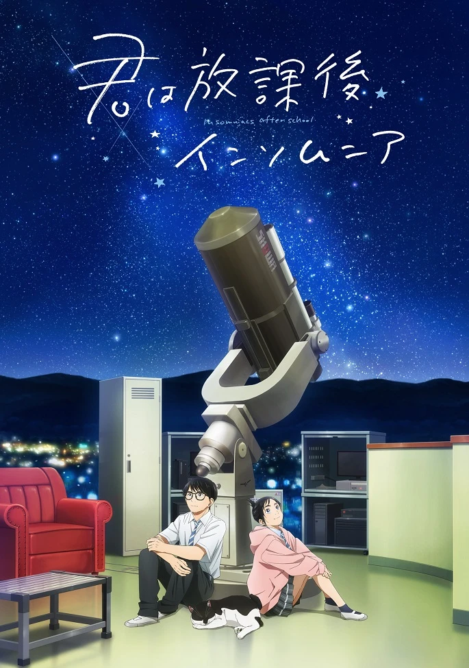 Бессонница после школы постер