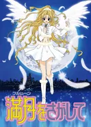 Постер В поисках полной луны